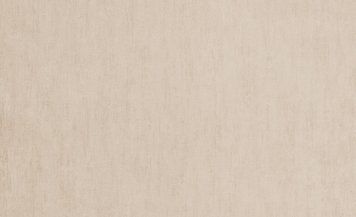 Wall Color W162C23; Сонцестійкі; Миючі; Супермиючі; Стійкі до стирання; Фактурний; Однотонний; Штукатурка; Вінілові на флізеліновій основі Бежевий; Передпокій; Вітальня; Спальня; Коридор; Кухня; Україна; W162C23 фото