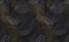 813DN57 фото 1